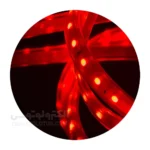 ریسه 220 ولت RGB تراکم 60 لوپ لایت IP65